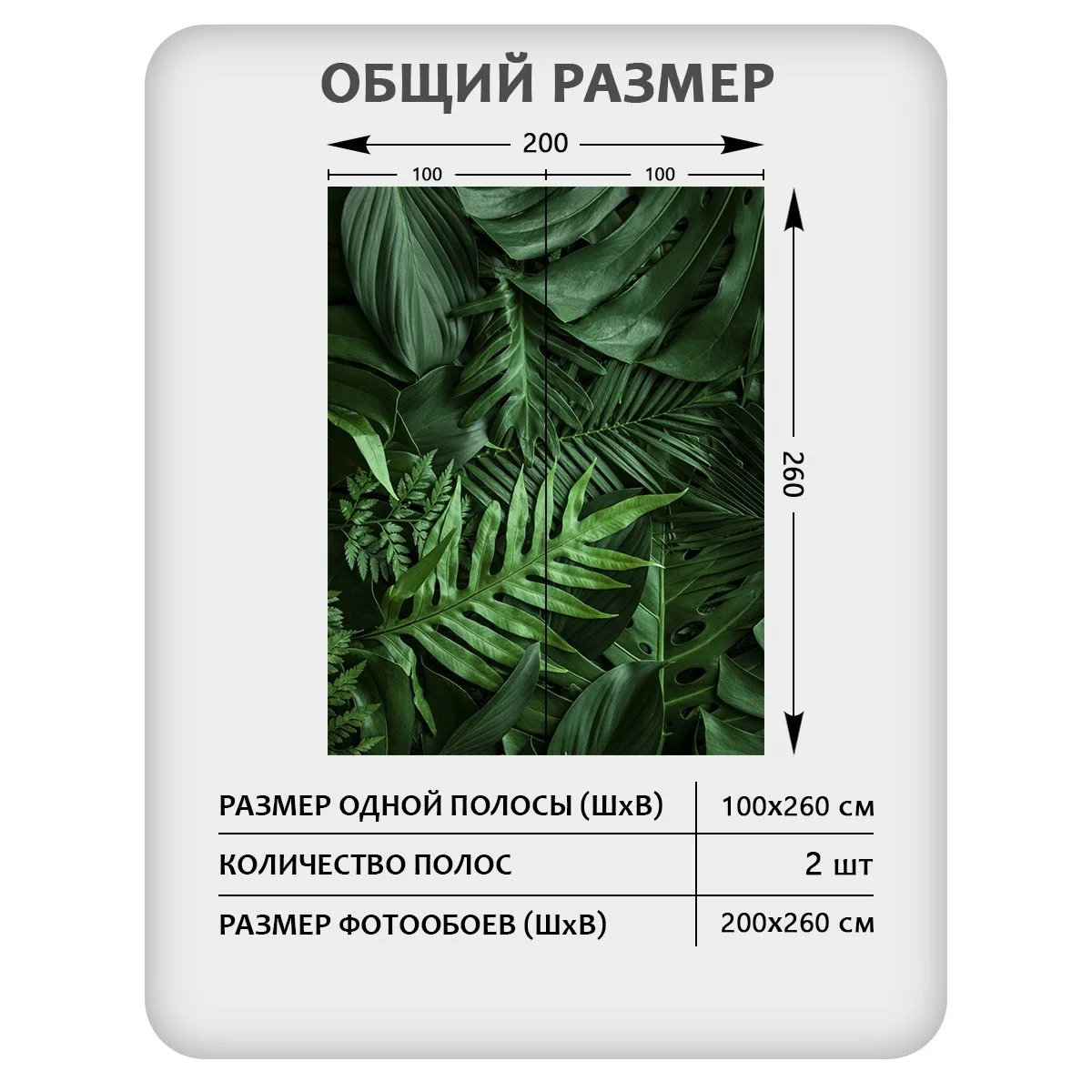 Фотообои рулонные Citydecor Цветы и Растения 73 на флизелиновой основе 200x260 см