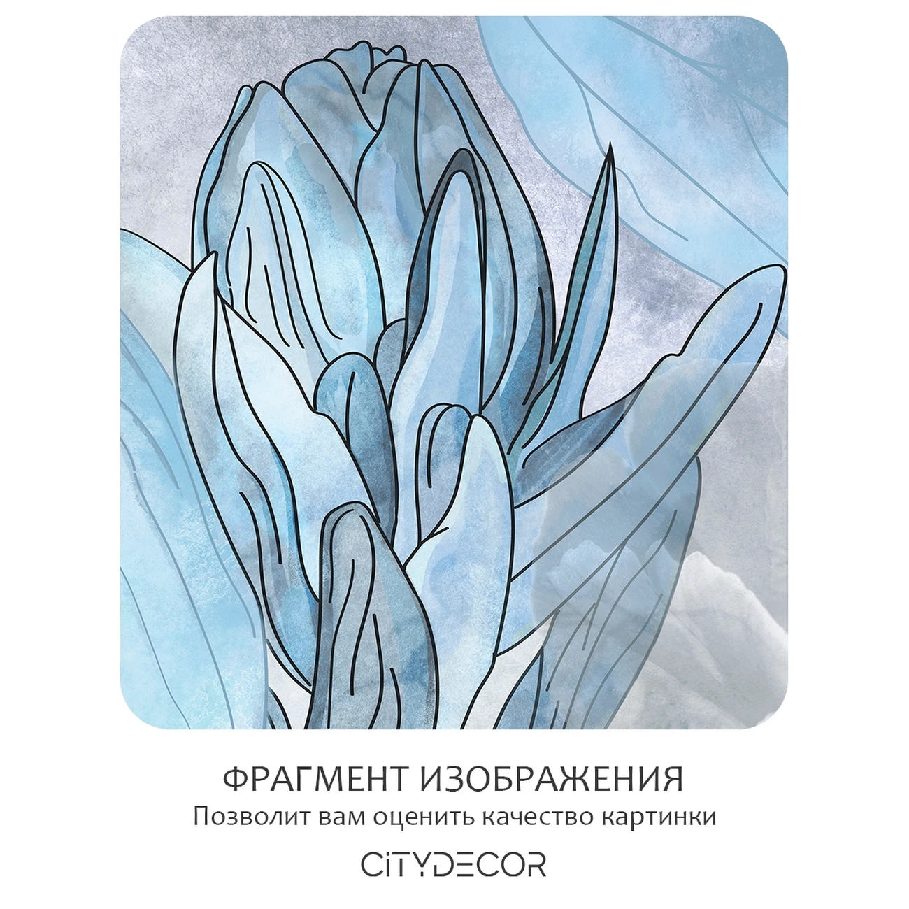 Фотообои рулонные Citydecor Flower town 33 на флизелиновой основе 200x260 см