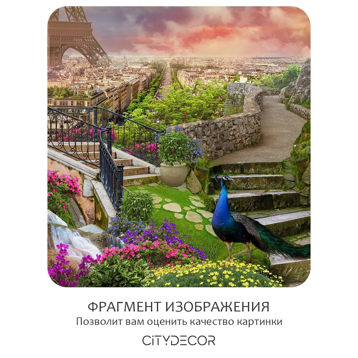Фотообои рулонные Citydecor Фреска 38 на флизелиновой основе 200x260 см