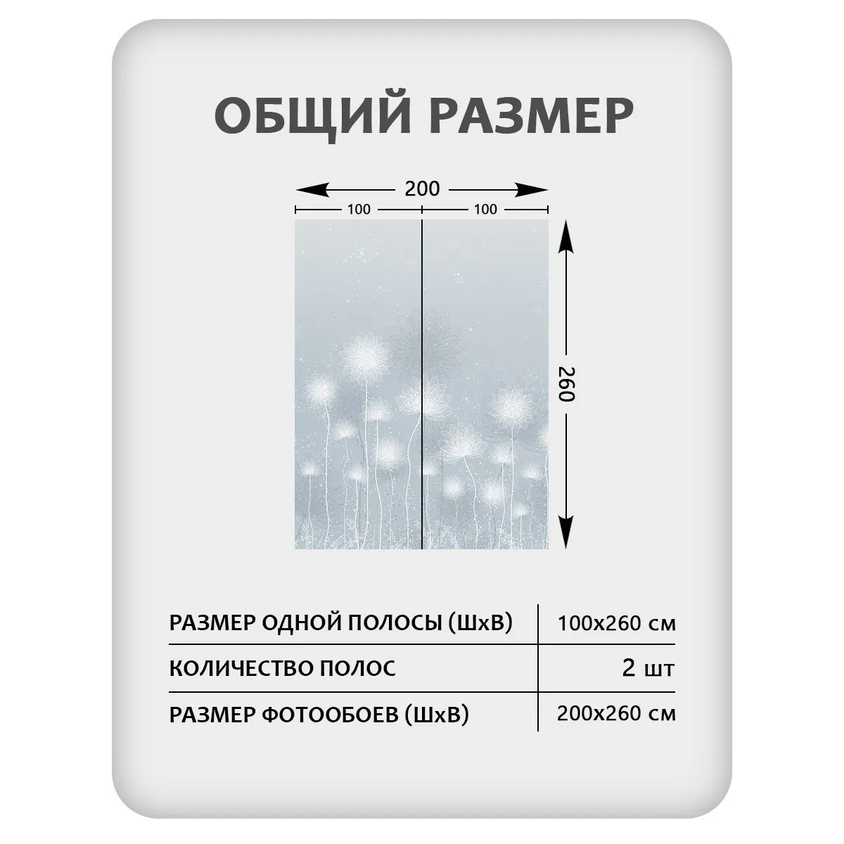 Фотообои рулонные Citydecor Невесомость 42 на флизелиновой основе 200x260 см