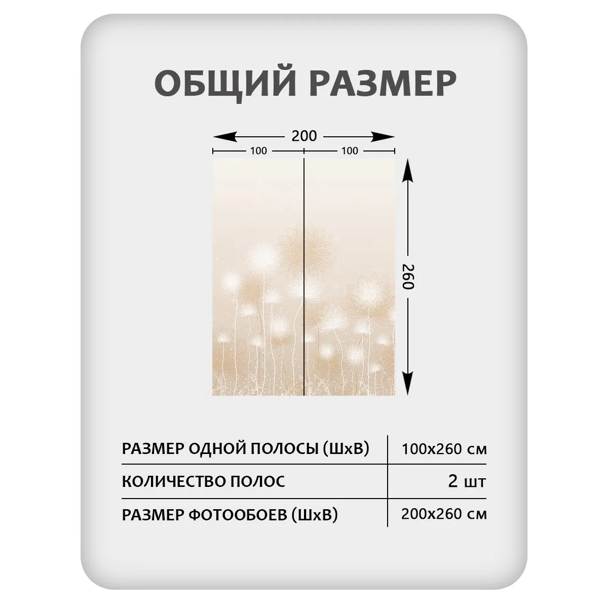 Фотообои рулонные Citydecor Невесомость 43 на флизелиновой основе 200x260 см