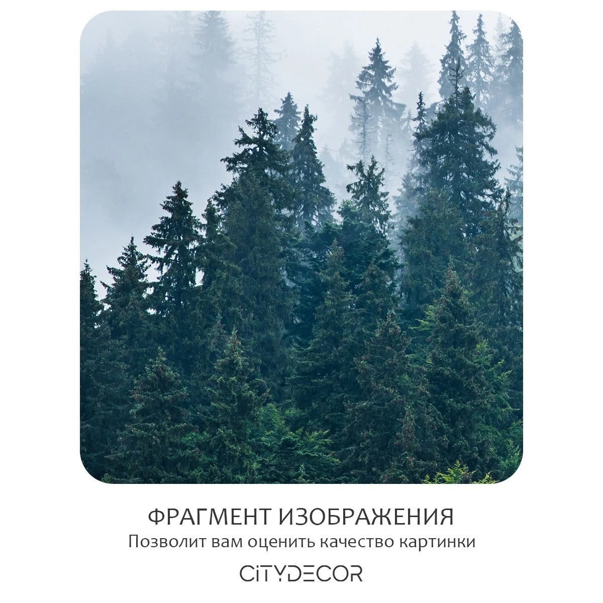 Бесшовное панно Citydecor Природа 11 на флизелиновой основе 200x270 см