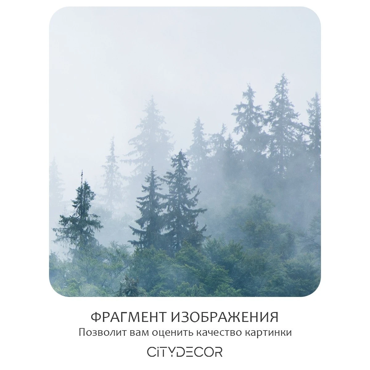 Бесшовное панно Citydecor Природа 11 на флизелиновой основе 200x270 см