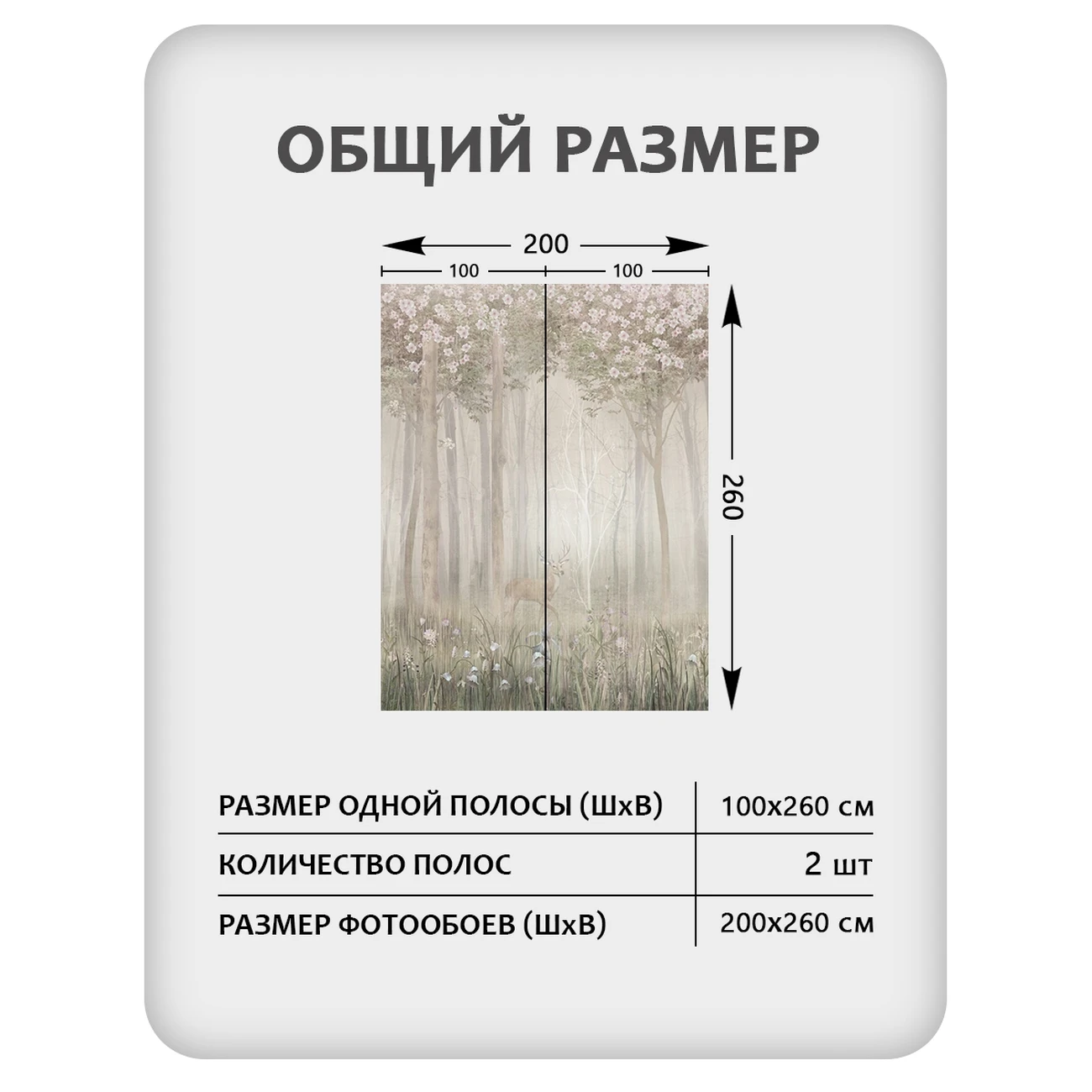 Фотообои рулонные Citydecor Природа 143 на флизелиновой основе 200x260 см