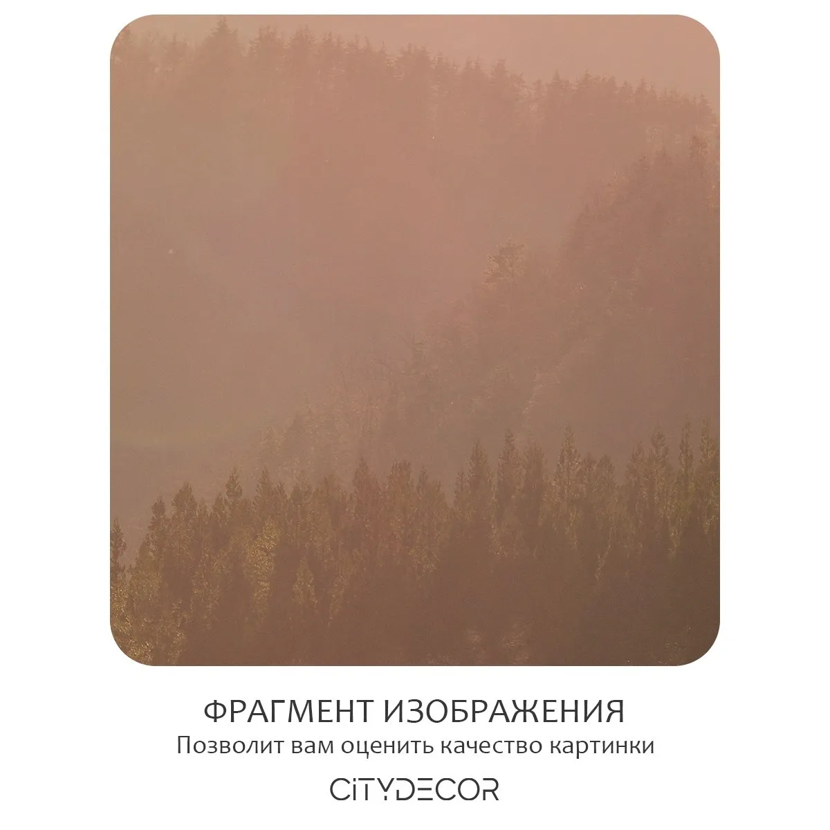 Фотообои рулонные Citydecor Природа 147 на флизелиновой основе 200x260 см
