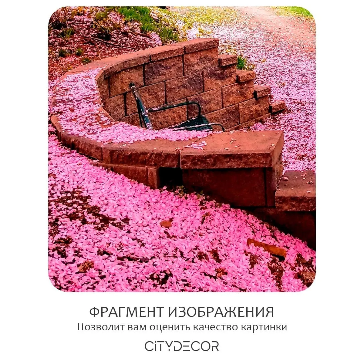 Фотообои рулонные Citydecor Природа 148 на флизелиновой основе 200x260 см