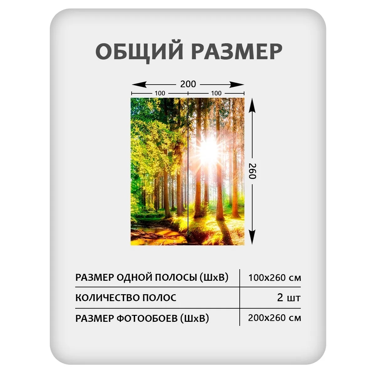 Фотообои рулонные Citydecor Природа 149 на флизелиновой основе 200x260 см