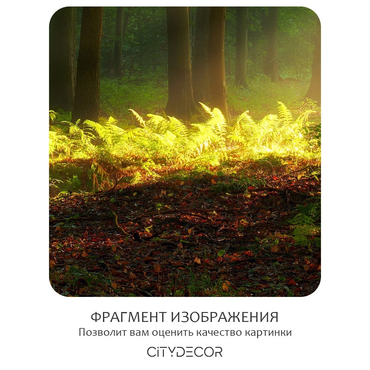 Бесшовное панно Citydecor Природа 28 на флизелиновой основе 200x270 см