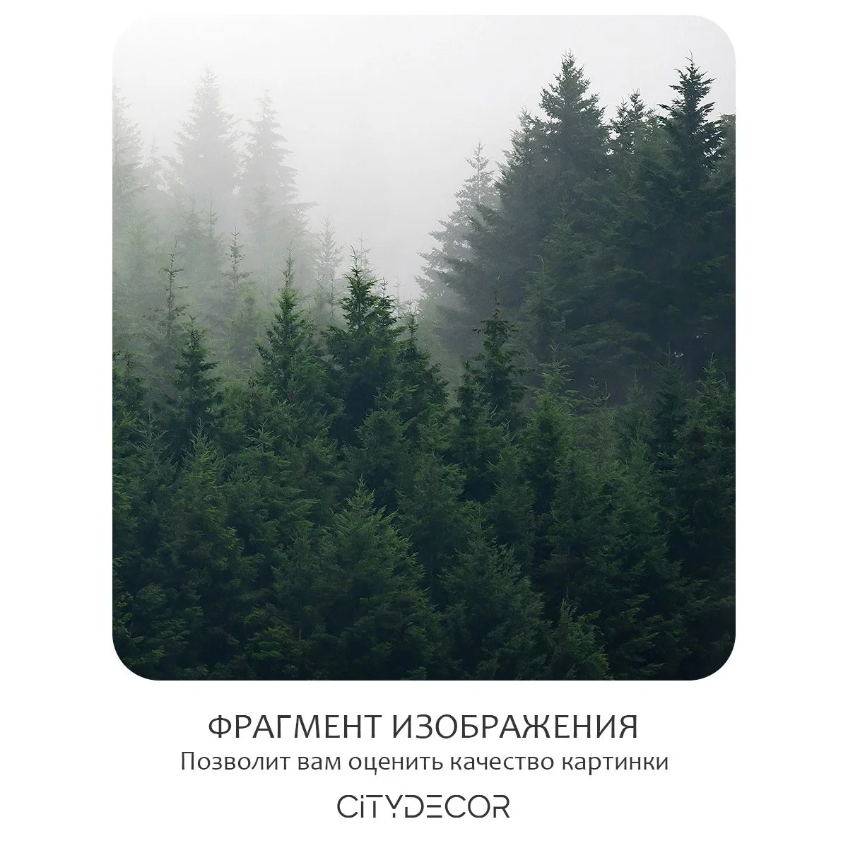 Фотообои рулонные Citydecor Природа 29 на флизелиновой основе 200x260 см