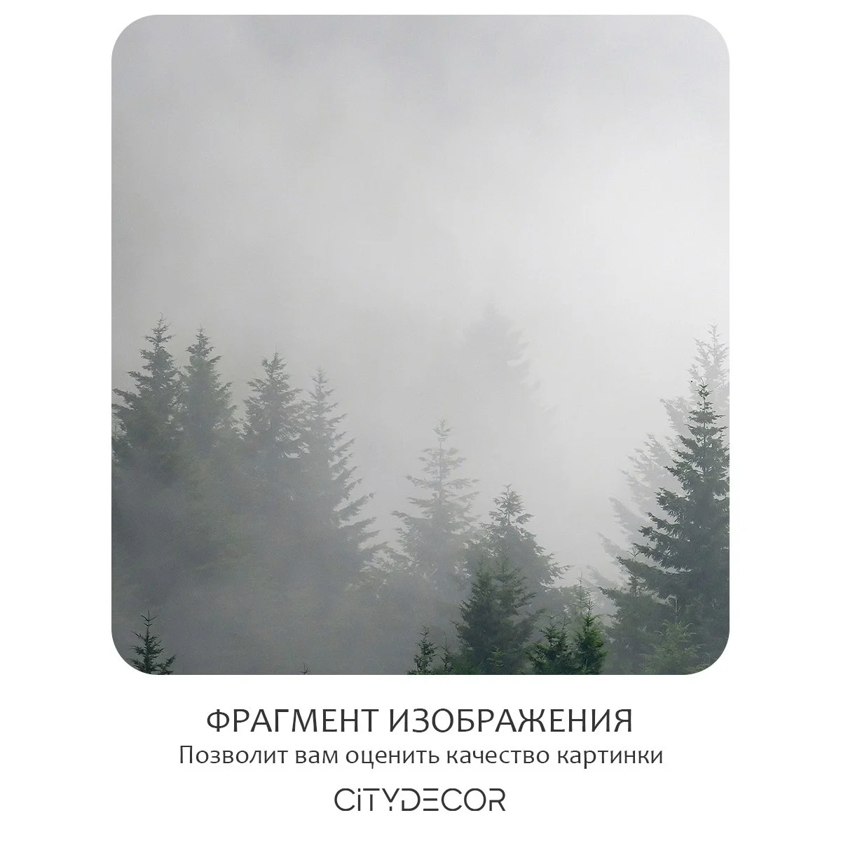 Фотообои рулонные Citydecor Природа 29 на флизелиновой основе 200x260 см