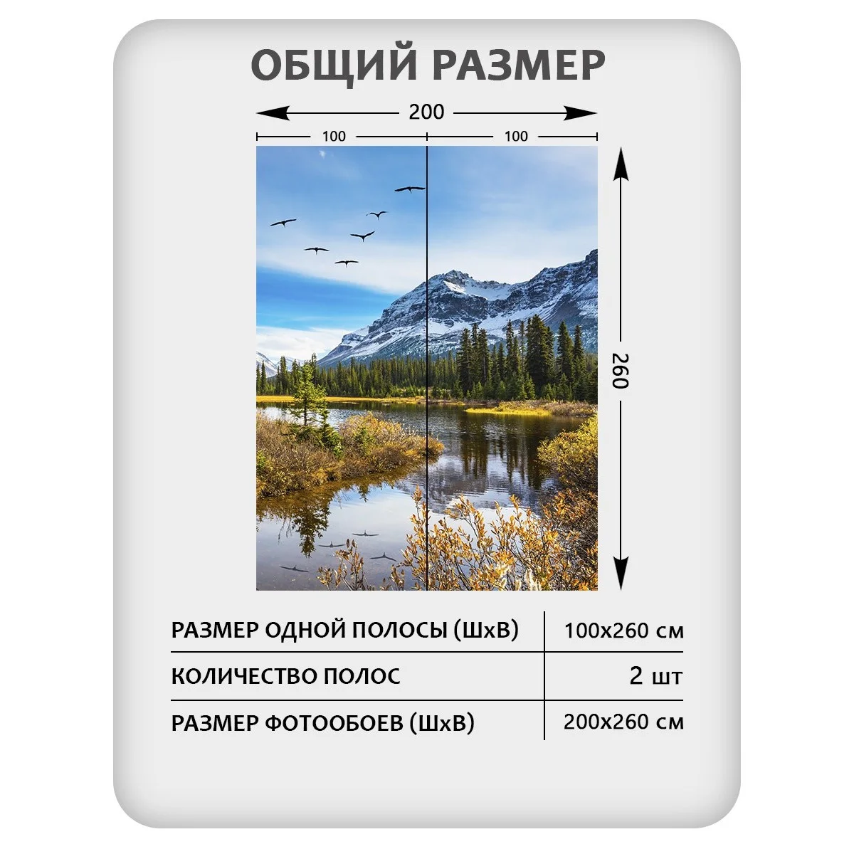 Фотообои рулонные Citydecor Природа 30 на флизелиновой основе 200x260 см