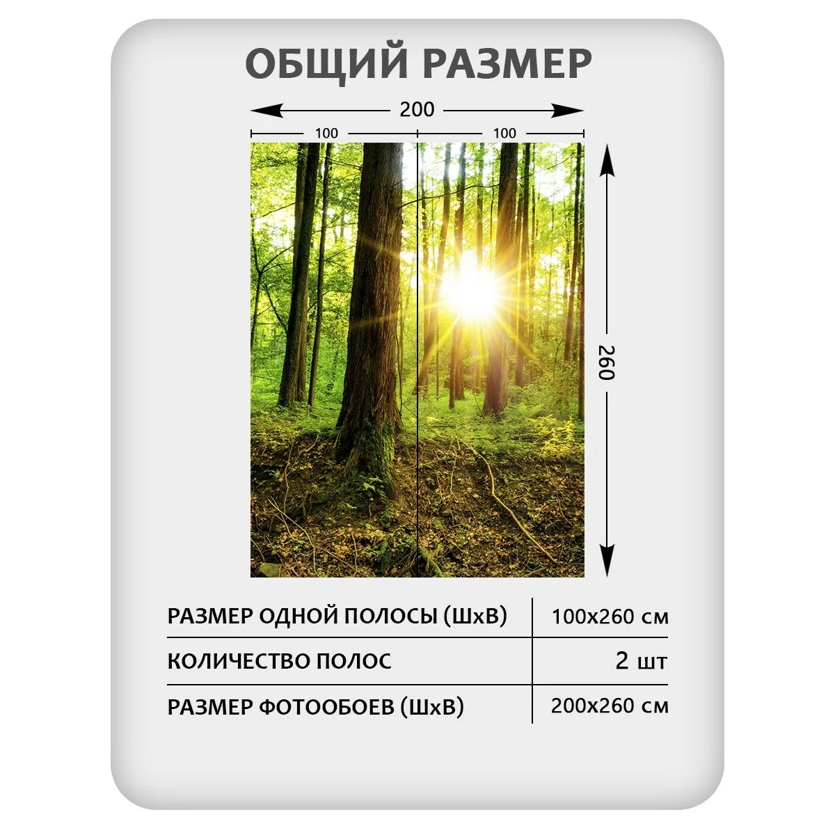 Фотообои рулонные Citydecor Природа 37 на флизелиновой основе 200x260 см