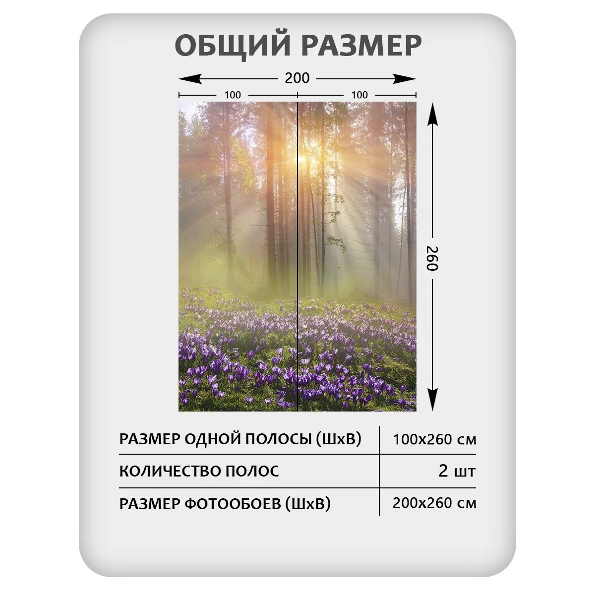 Фотообои рулонные Citydecor Природа 39 на флизелиновой основе 200x260 см