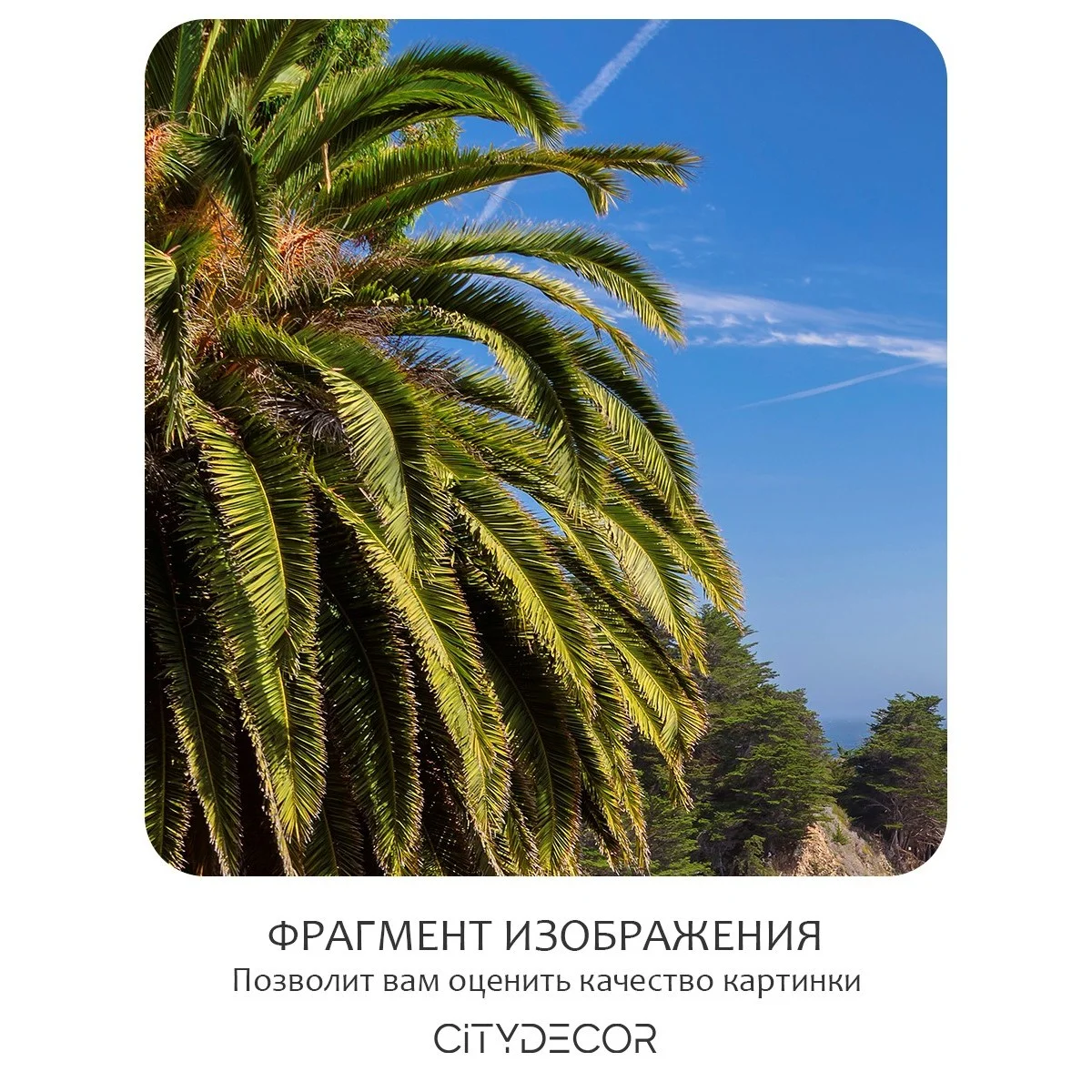 Фотообои рулонные Citydecor Море и Водопады 29 на флизелиновой основе 200x260 см