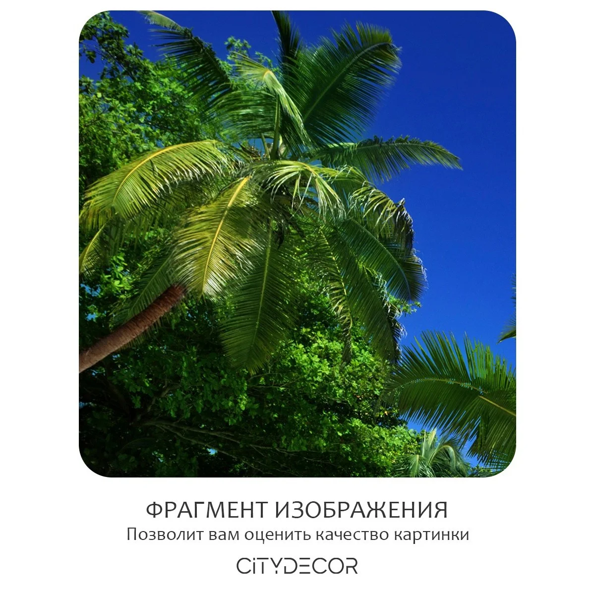 Фотообои рулонные Citydecor Море и Водопады 38 на флизелиновой основе 200x260 см