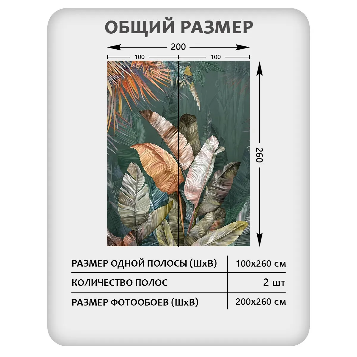 Фотообои рулонные Citydecor Знойные тропики 21 на флизелиновой основе 200x260 см