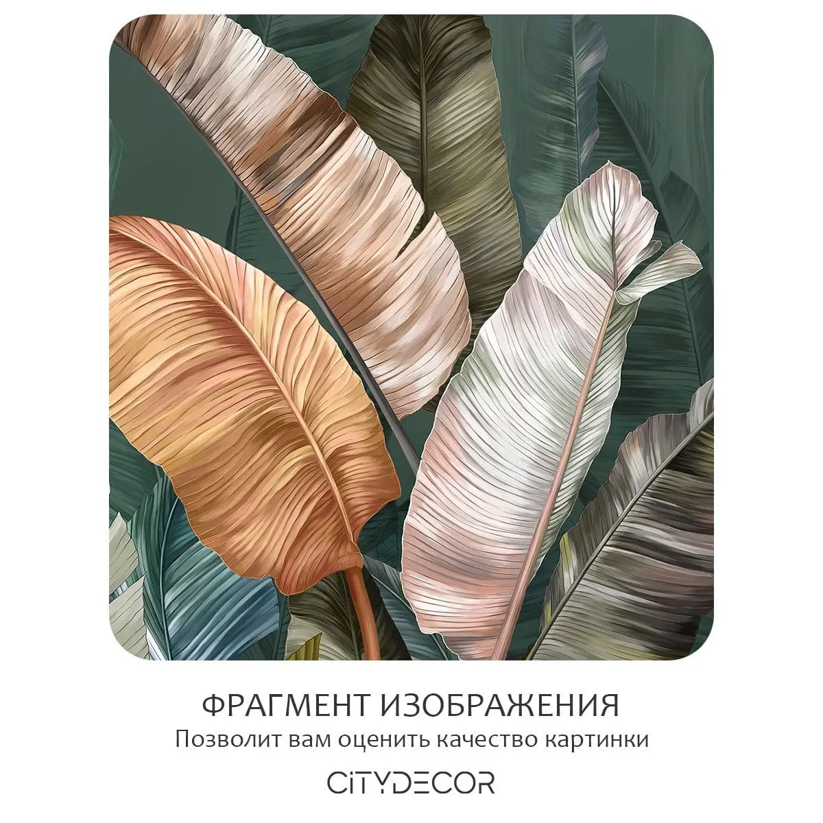 Фотообои рулонные Citydecor Знойные тропики 21 на флизелиновой основе 200x260 см