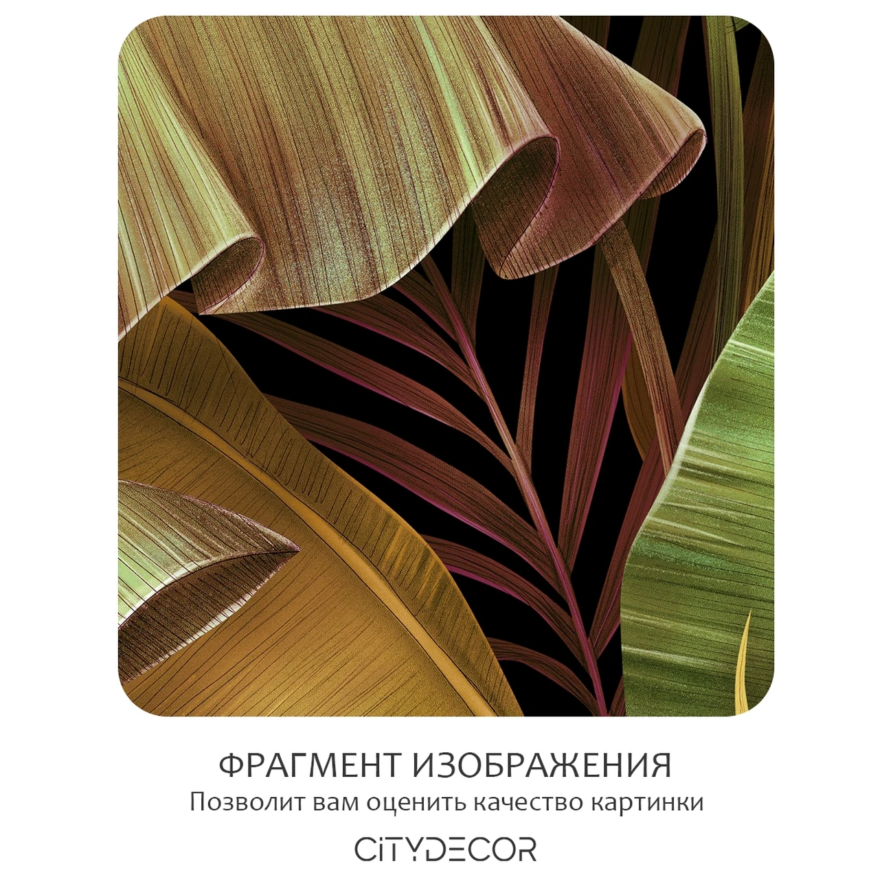Фотообои рулонные Citydecor Знойные тропики 50 на флизелиновой основе 200x260 см