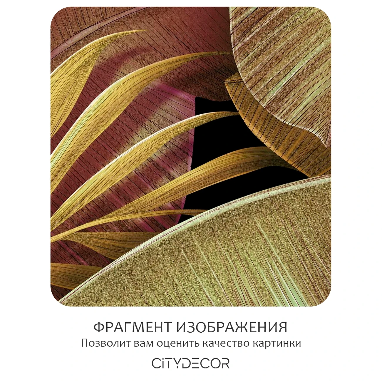 Фотообои рулонные Citydecor Знойные тропики 50 на флизелиновой основе 200x260 см