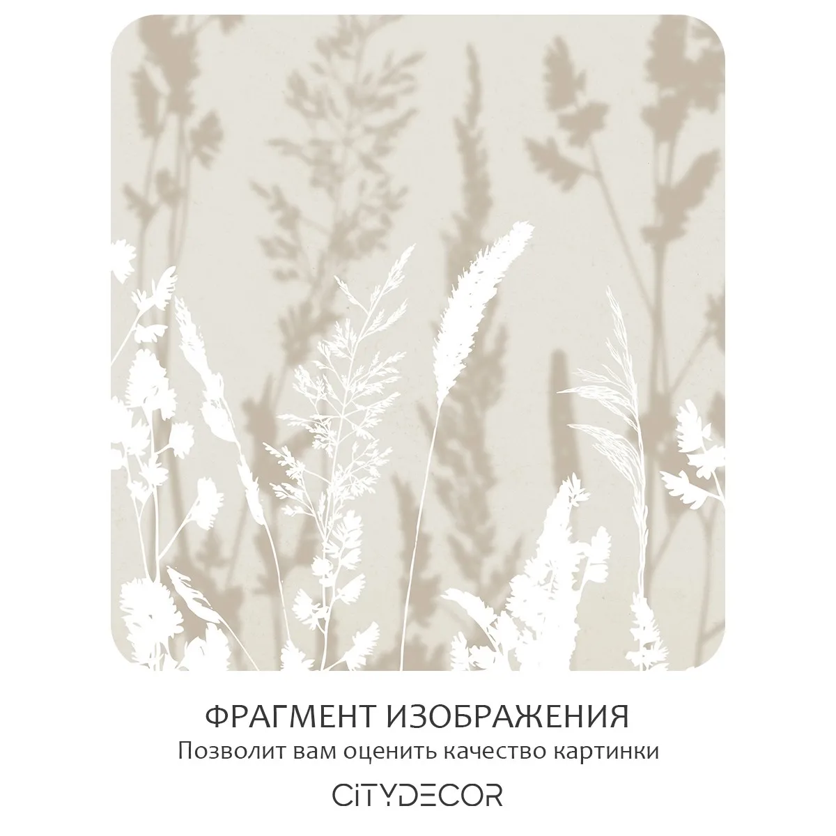 Бесшовное панно Citydecor Невесомость 14 на флизелиновой основе 200x270 см