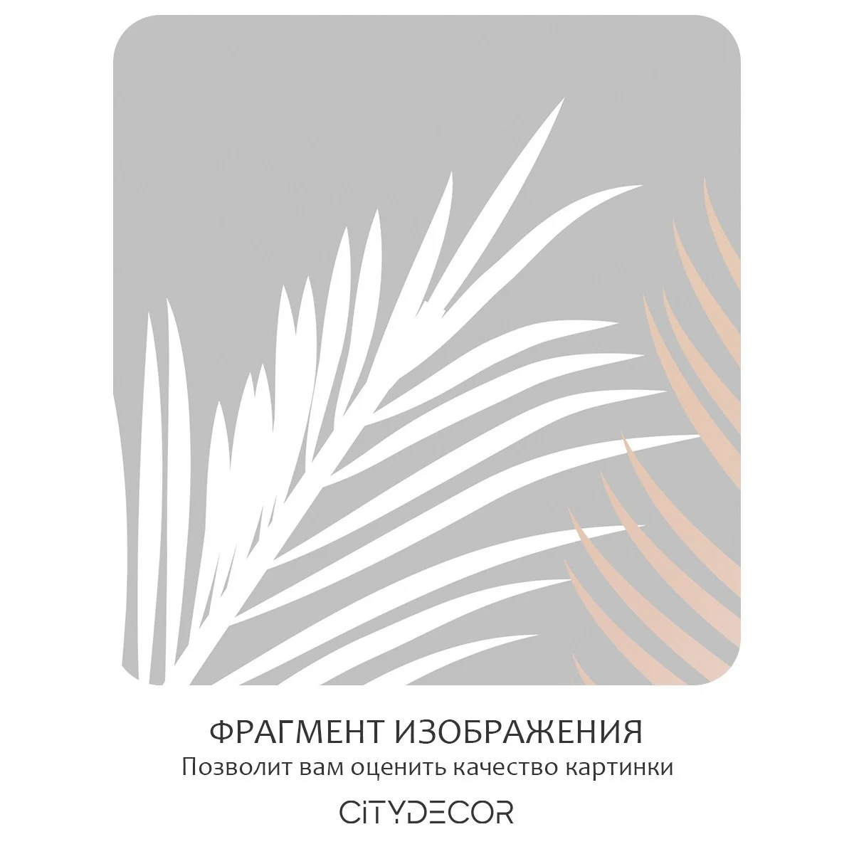 Фотообои рулонные Citydecor Пальмовые листья 57 на флизелиновой основе 300x150 см