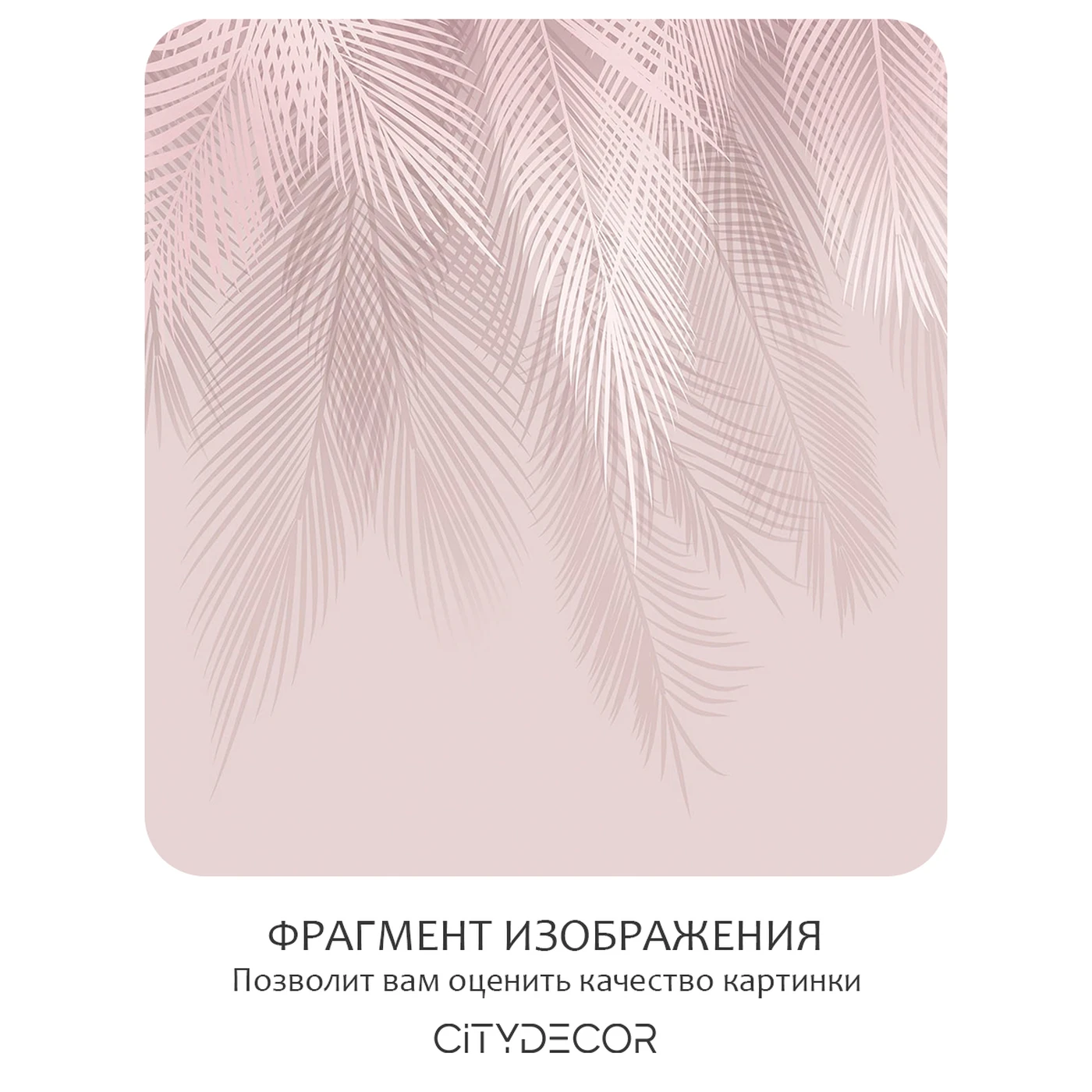 Фотообои рулонные Citydecor Пальмовые листья 77 на флизелиновой основе 300x150 см