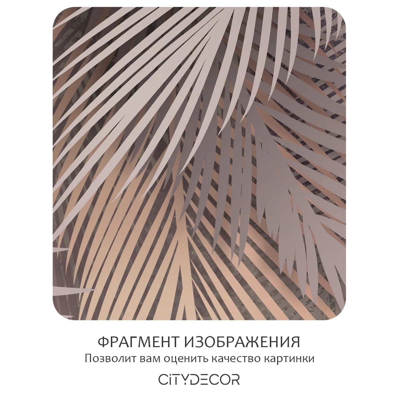 Фотообои рулонные Citydecor Пальмовые листья 79 на флизелиновой основе 300x150 см