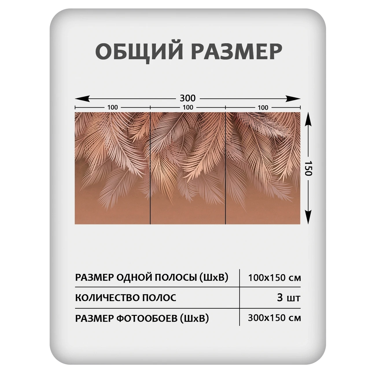 Фотообои рулонные Citydecor Пальмовые листья 80 на флизелиновой основе 300x150 см