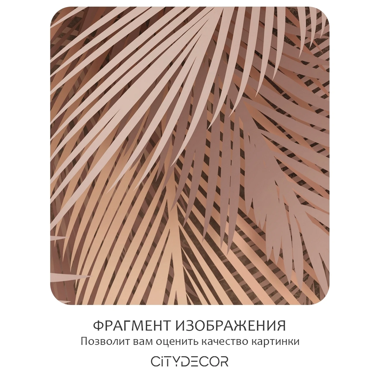 Фотообои рулонные Citydecor Пальмовые листья 80 на флизелиновой основе 300x150 см