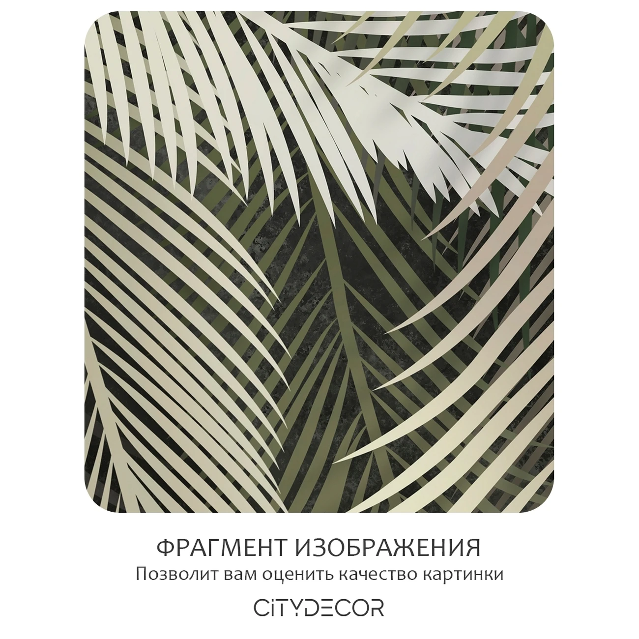 Фотообои рулонные Citydecor Пальмовые листья 84 на флизелиновой основе 300x150 см