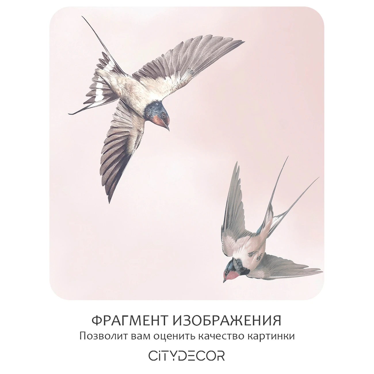 Фотообои рулонные Citydecor Air 12 на флизелиновой основе 300x150 см