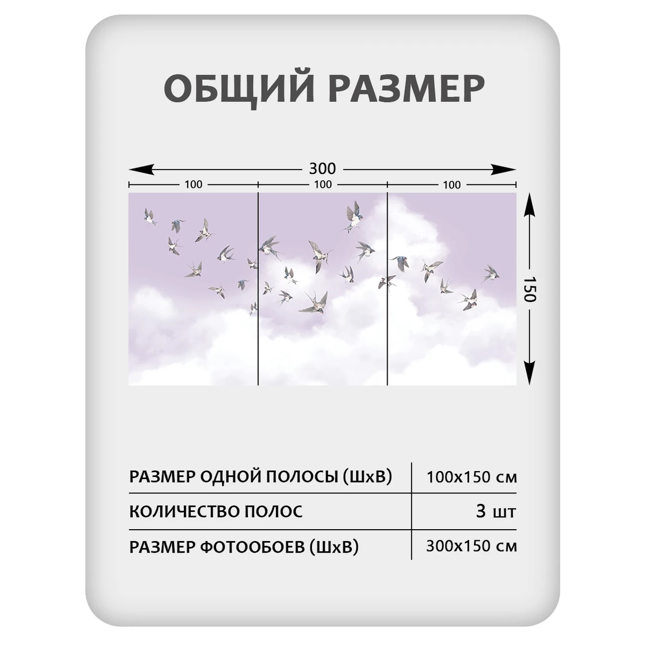 Фотообои рулонные Citydecor Air 13 на флизелиновой основе 300x150 см