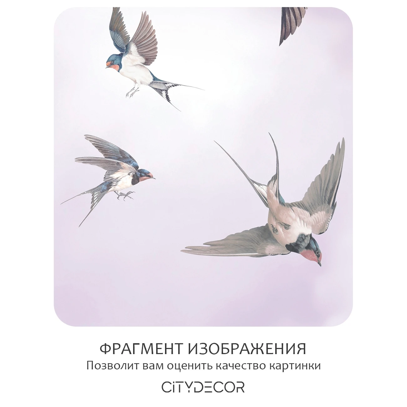 Фотообои рулонные Citydecor Air 13 на флизелиновой основе 300x150 см