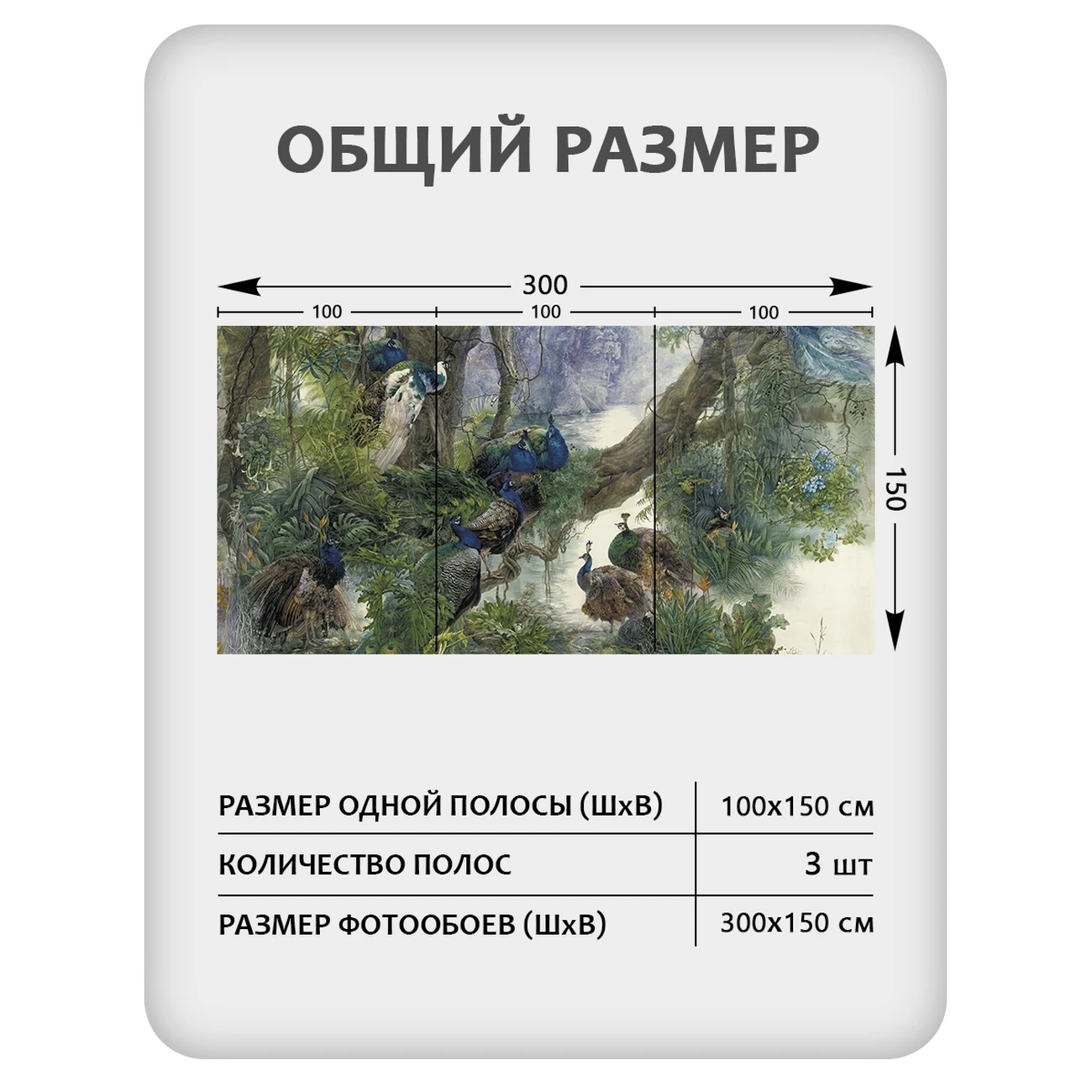 Фотообои рулонные Citydecor Животные и Птицы 57 на флизелиновой основе 300x150 см