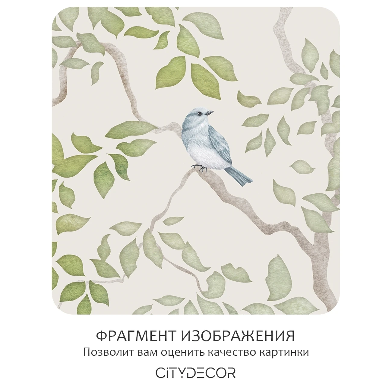 Фотообои рулонные Citydecor Blossom 29 на флизелиновой основе 300x150 см
