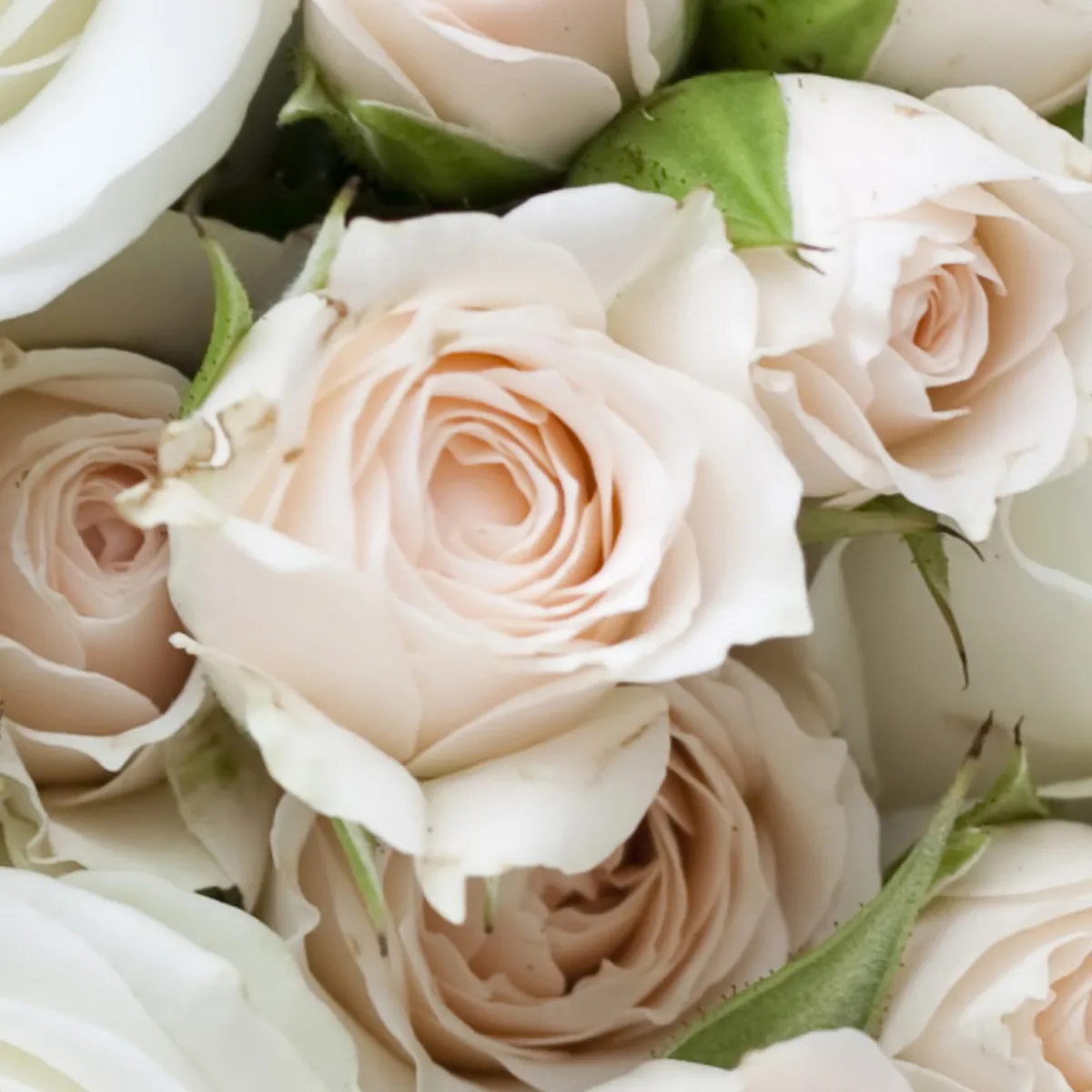 Фотообои рулонные Citydecor Букет роз на флизелиновой основе 300x150 см 