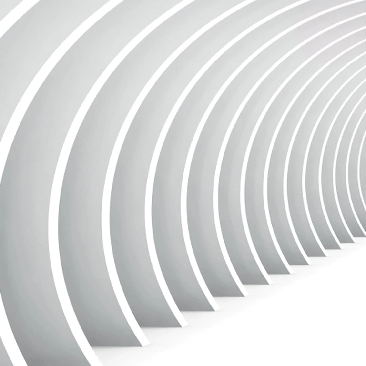 Фотообои рулонные Citydecor Цветочный декор 2 3D на флизелиновой основе 300x150 см