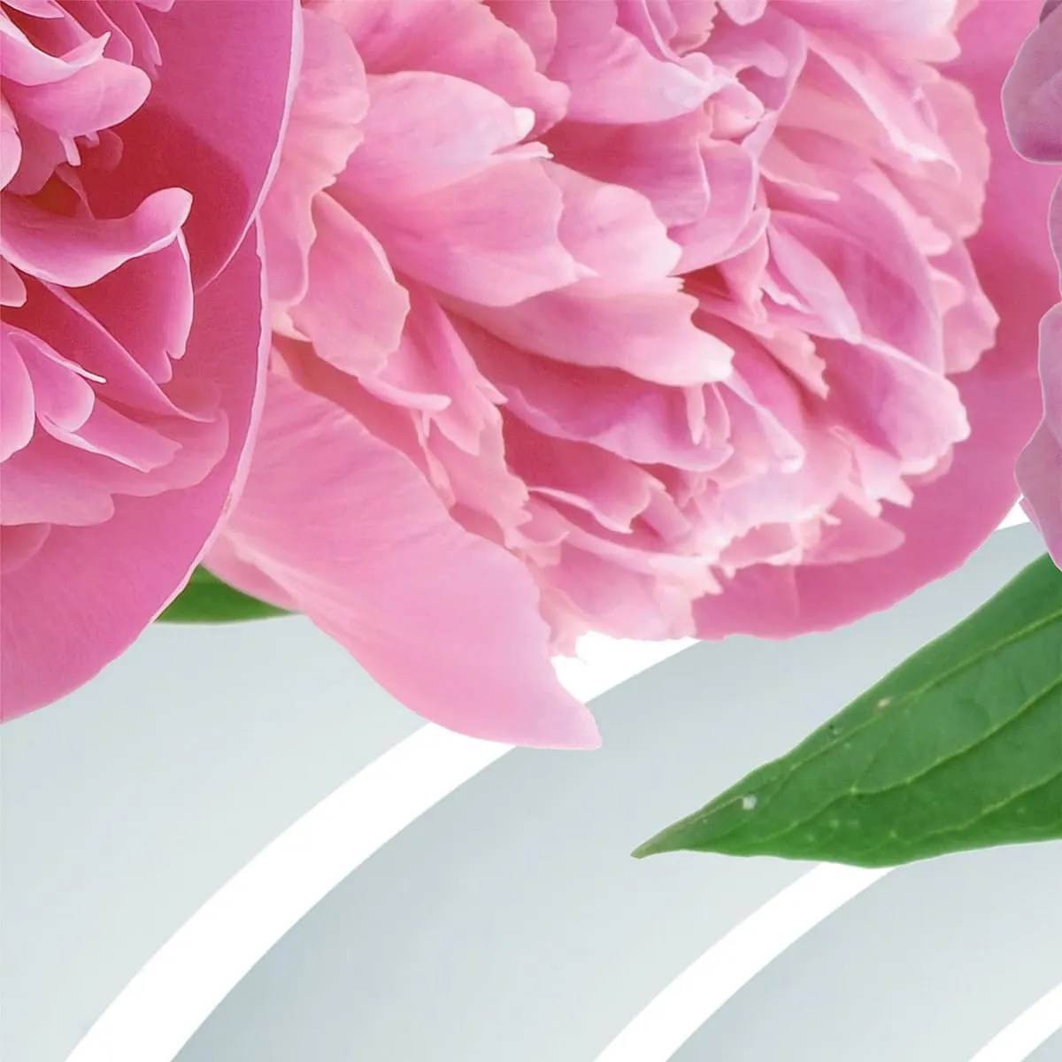 Фотообои рулонные Citydecor Цветочный декор 2 3D на флизелиновой основе 300x150 см