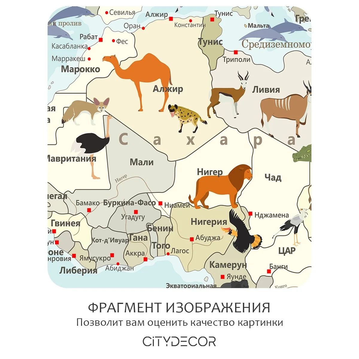 Фотообои рулонные Citydecor Детская (карта мира) 154 на флизелиновой основе 300x150 см