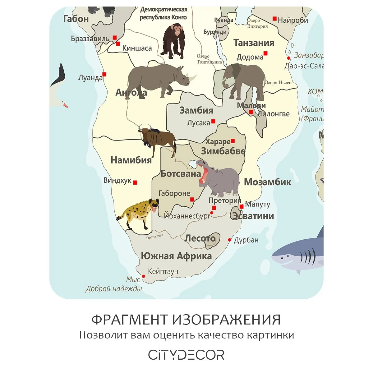 Фотообои рулонные Citydecor Детская (карта мира) 154 на флизелиновой основе 300x150 см