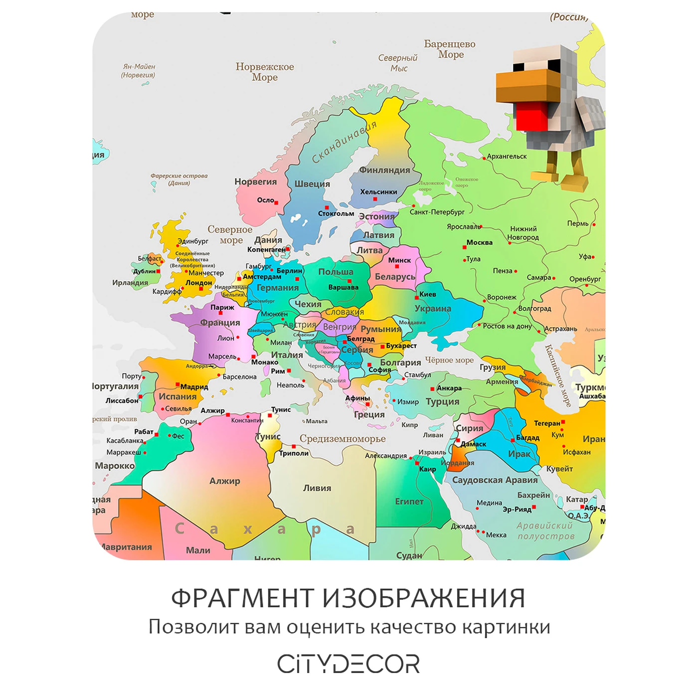 Дизайнерские фотообои рулонные Citydecor Детская (карта мира Майнкрафт) 405 на флизелиновой основе 300x150 см