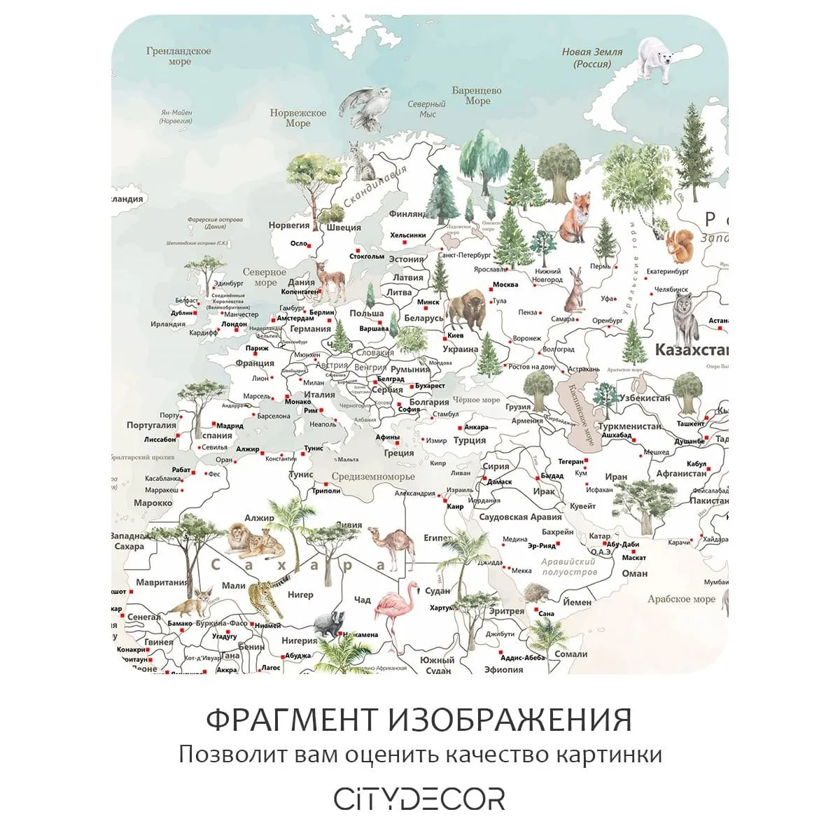 Фотообои рулонные Citydecor Джунгли зовут 17 на флизелиновой основе 300x150 см