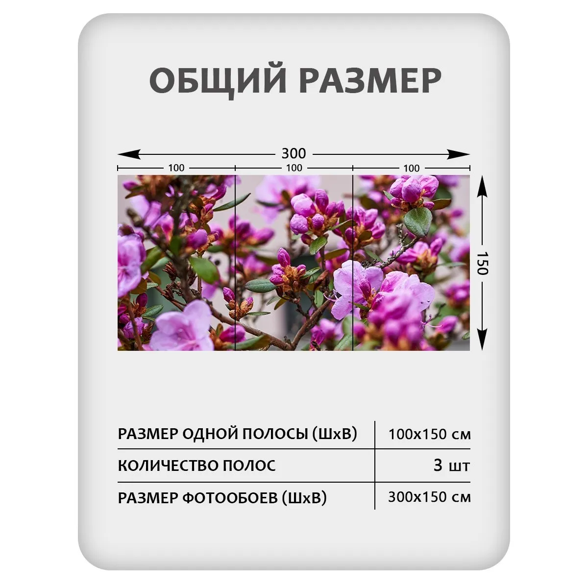 Фотообои рулонные Citydecor Цветы и Растения 204 на флизелиновой основе 300x150 см