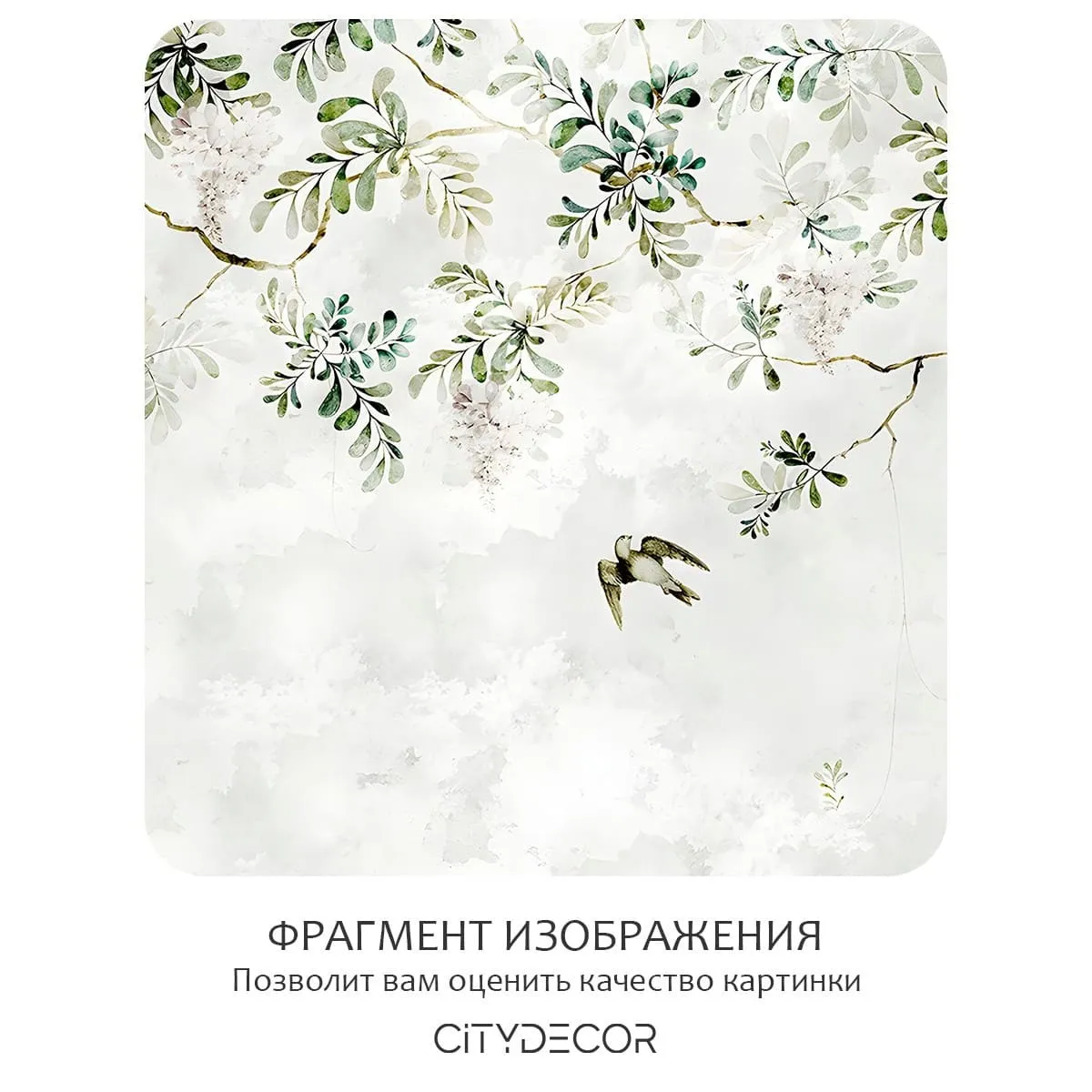 Фотообои рулонные Citydecor Цветы и Растения 205 на флизелиновой основе 300x150 см