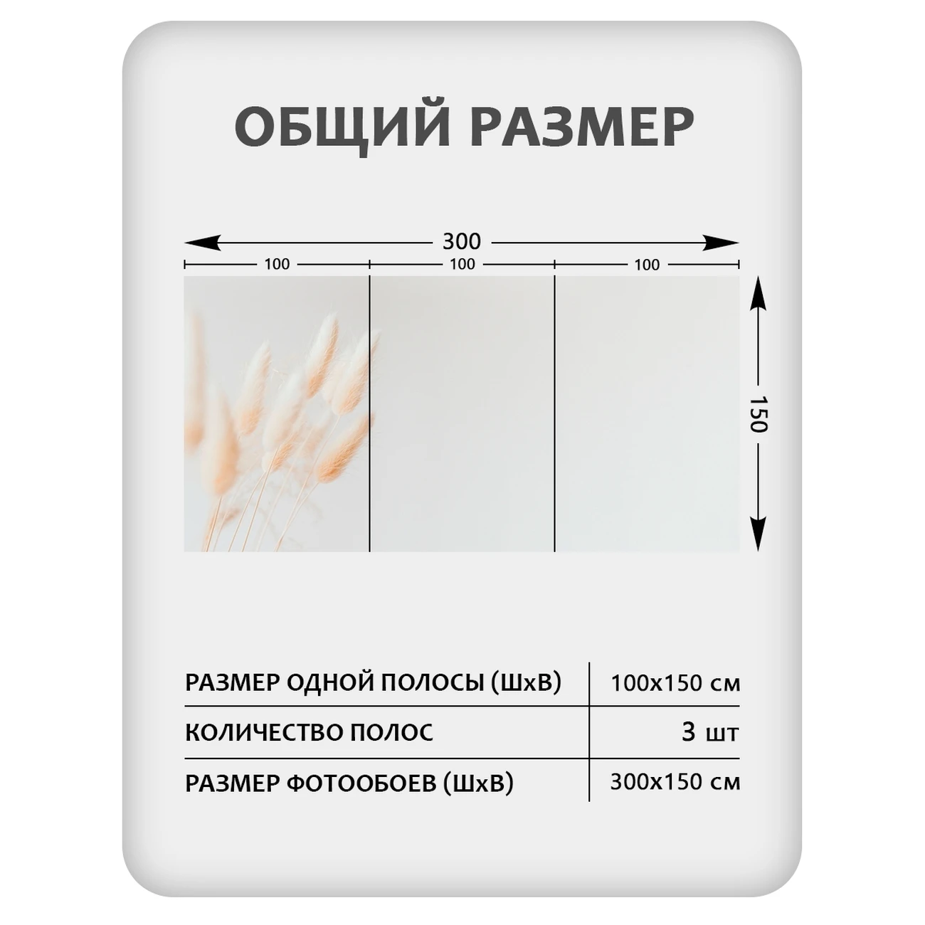 Фотообои рулонные Citydecor Цветы и Растения 235 на флизелиновой основе 300x150 см