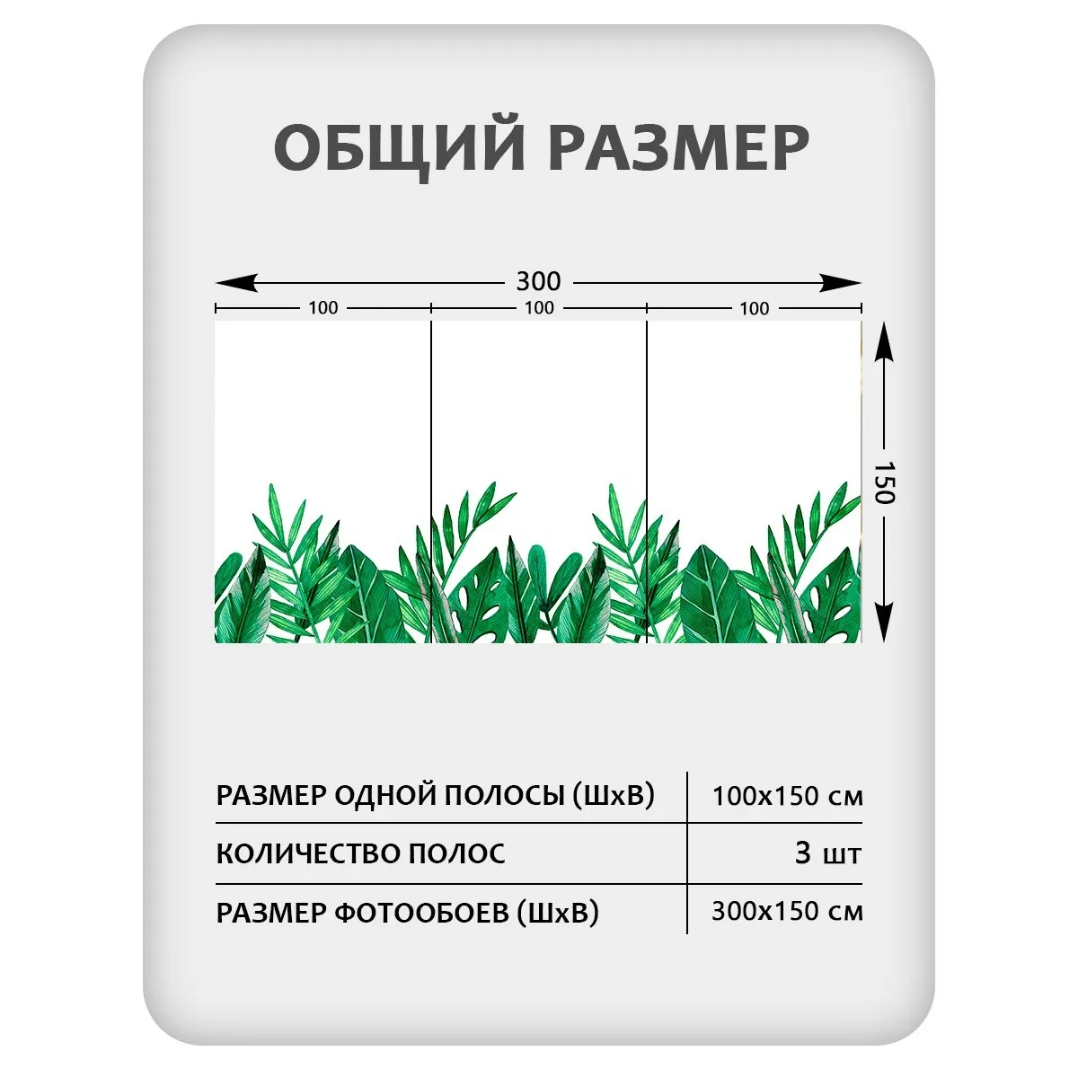 Фотообои рулонные Citydecor Цветы и Растения 238 на флизелиновой основе 300x150 см