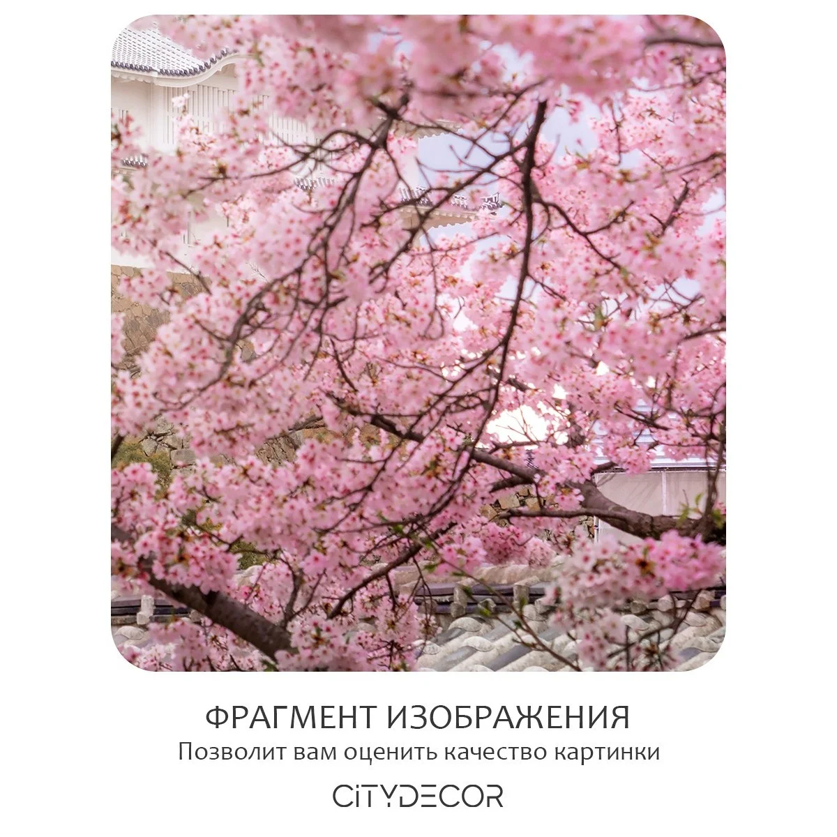 Фотообои рулонные Citydecor Цветы и Растения 33 на флизелиновой основе 300x150 см