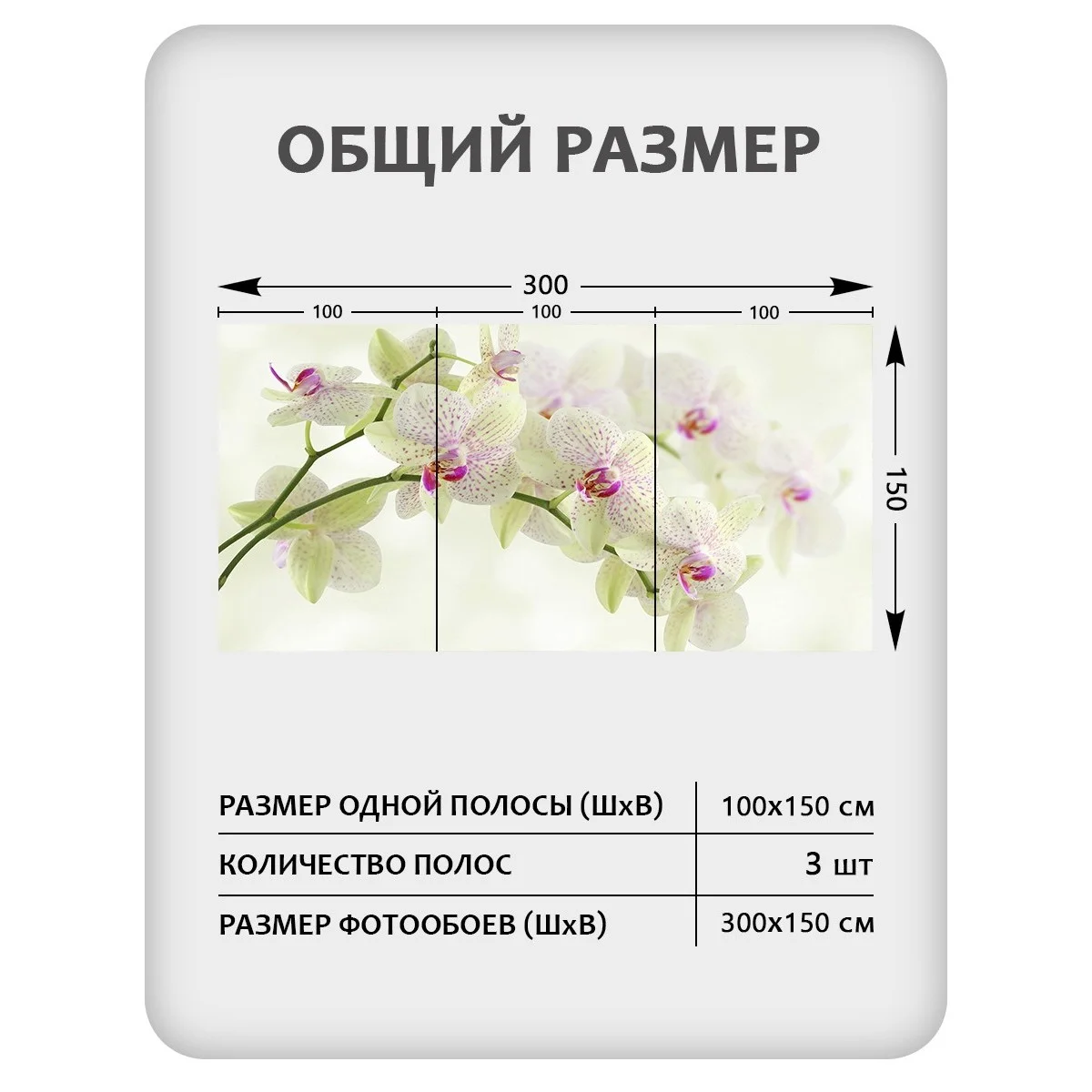 Фотообои рулонные Citydecor Цветы и Растения 34 на флизелиновой основе 300x150 см