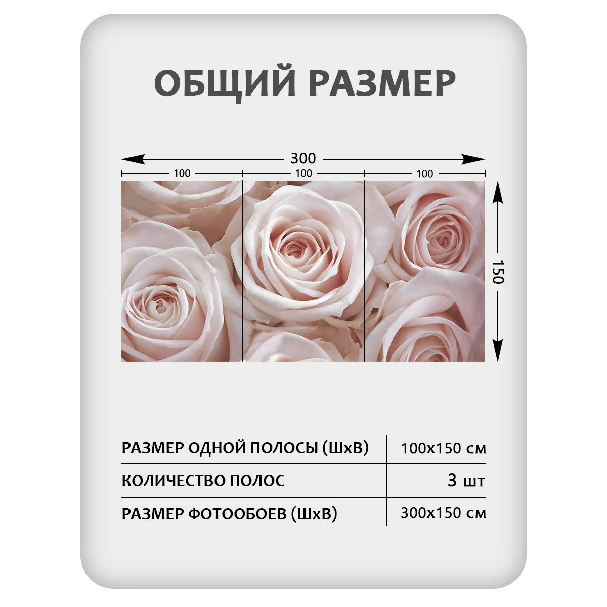 Фотообои рулонные Citydecor Цветы и Растения 36 на флизелиновой основе 300x150 см