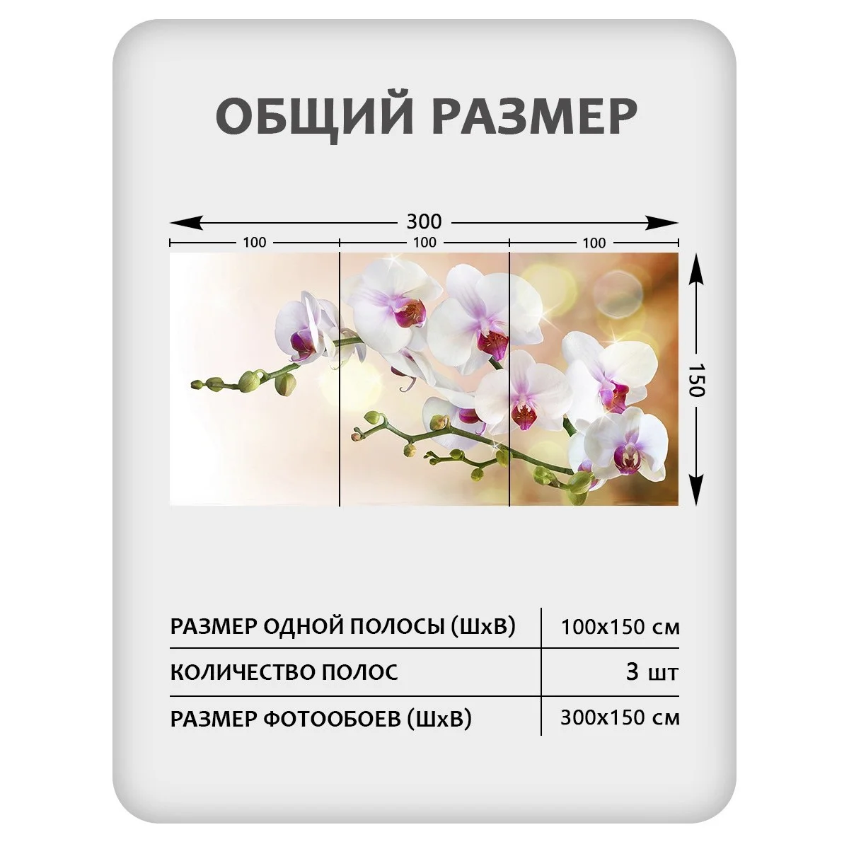 Фотообои рулонные Citydecor Цветы и Растения 38 на флизелиновой основе 300x150 см